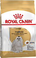 Сухой корм для взрослых собак породы мальтийская болонка ROYAL CANIN MALTESE ADULT 500 г