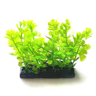 Рослина H-178C, 10см