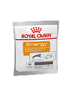 Лакомства для собак ROYAL CANIN ENERGY 5 50г