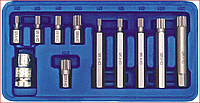 Набір біт Spline зірочка 12 променева M5-M12 Vorel 66770