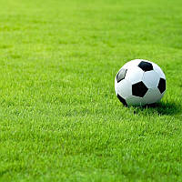 Насіння Газонної трави "Спорт" 5 кг травозмусь спортивне/використовують для ігрових спортивних майданчиків