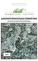 Цинерария Серебряная пыль (Фасовка: 0,1 г.) Професійне насіння