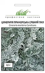 Цинерарія Срібний пил (Фасовка: 0,1 г.) Професійне насіння