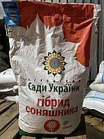 Соняшник НС КОНСТАНТІН ОР екстра плюс