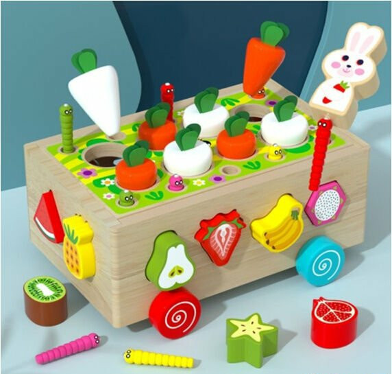 Дерев'яна каталка сортер Город на магнітах