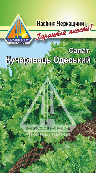 Салат листковий Кучерявець Одеський (1 г)