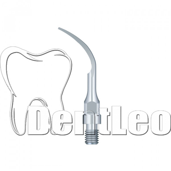 PERIODONTICS - PS1
