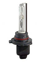 Ксенонова лампа Tesla 9005 (HB3) ORG