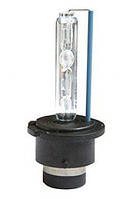 Ксенонова лампа Venture D2S ORG