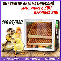 Інкубатор автоматичний побутовий 200 яєць