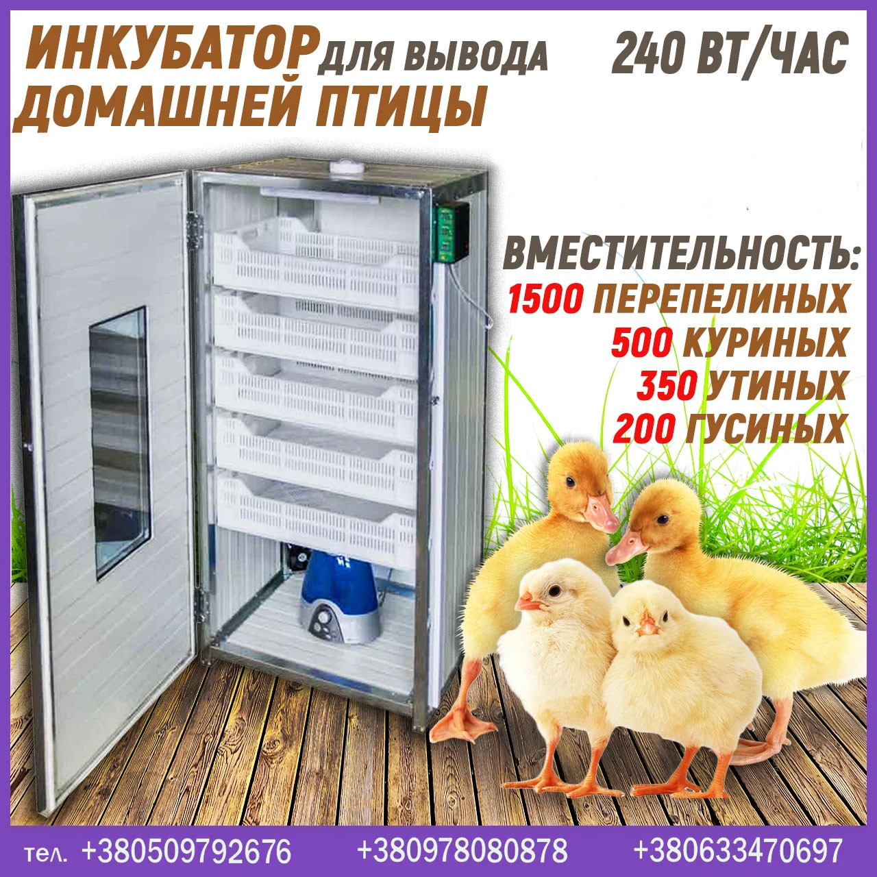 Інкубатор вивідний (500 яєць), ціна від виробника