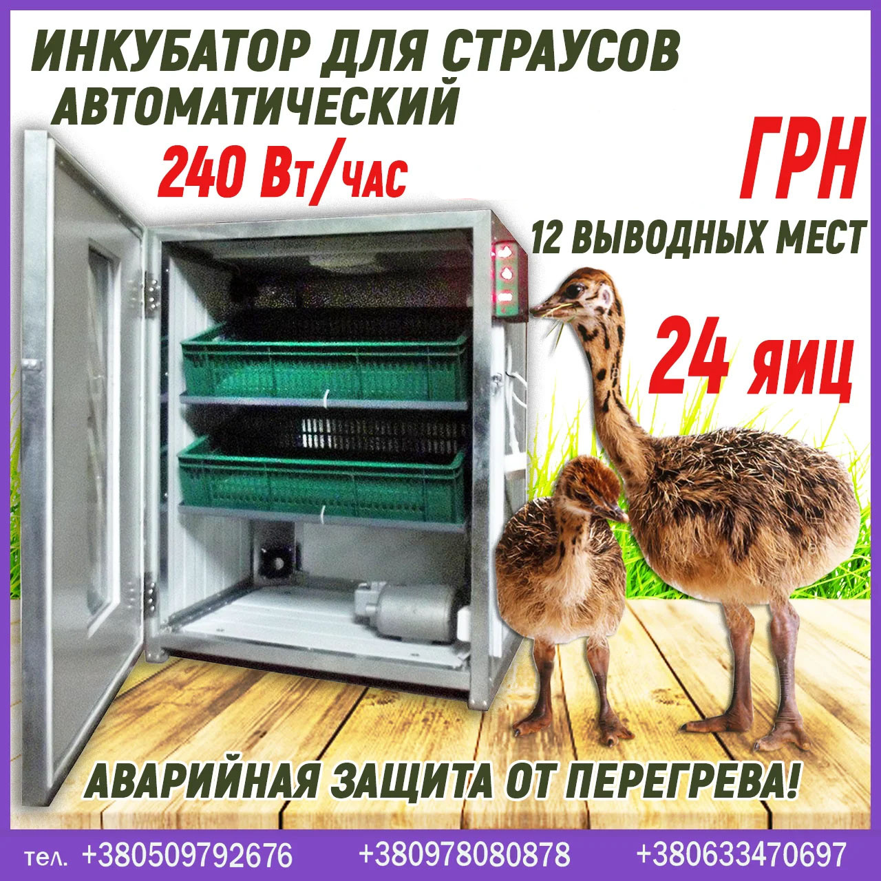 Інкубатор автоматичний для страусів 24 яєць, ціна