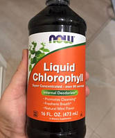 Хлорофіл рідкий NOW Chlorophyll Liquid 473 мг