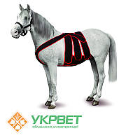 Бандаж післяопераційний для коней