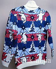 Светр підлітковий Pulltonic Радісний Ведмедик 13-14 років (156-160)