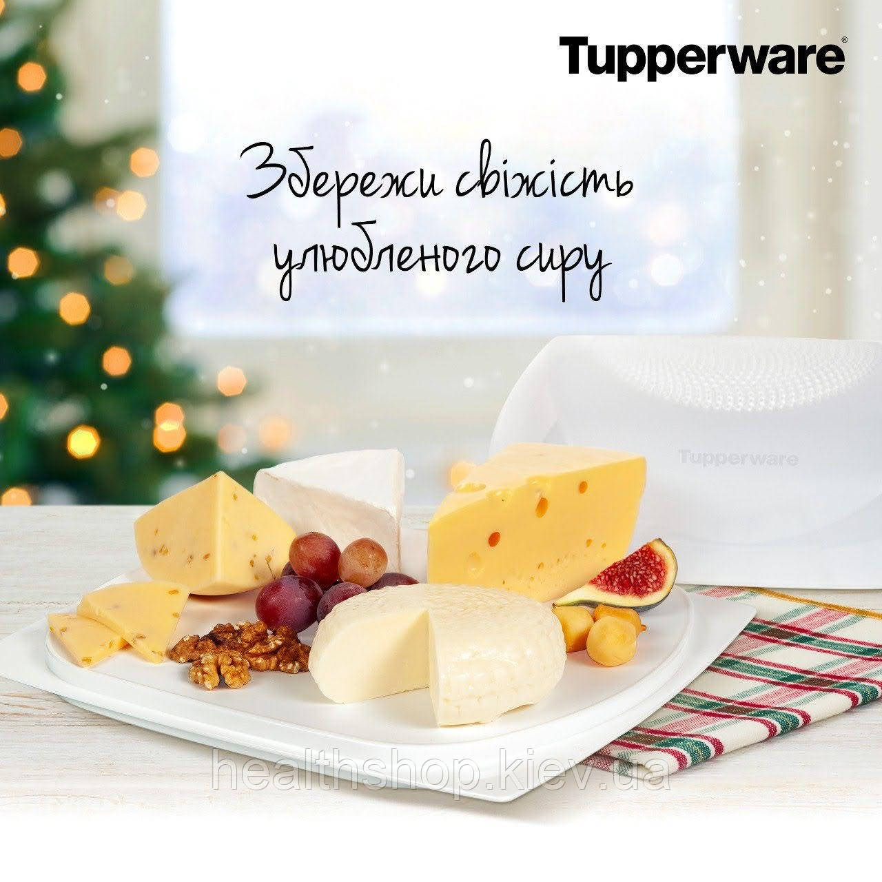 Розумна Сирниця велика квадратна Tupperware