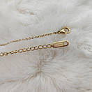 Підвіска, кулон з нержавіючої медичної сталі "Мільтонія", фото 7