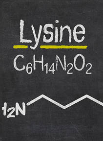 Лізин L-Lysine