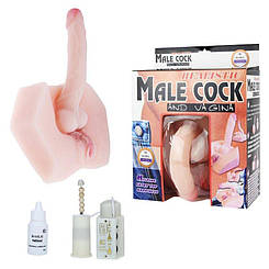 Universal Masturbator Phallus та піхва BM-009042