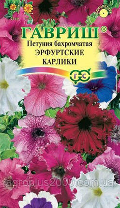 Насіння Петунія Ерфуртські карлики 10 насіння Гавріш, фото 1