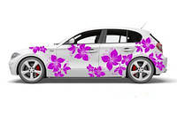 Квіти і метелики