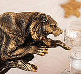 Набір для віскі подарунковий "Тигр у стрибку", фото 5