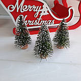 Ялинка — малятко зелена з білими кінчиками. Висота 8 см., фото 3