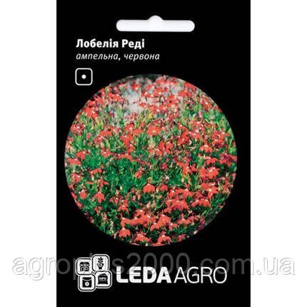 Насіння Лобелію ампельне Реди червона 0,1 грама Hem Zaden LedaAgro, фото 3