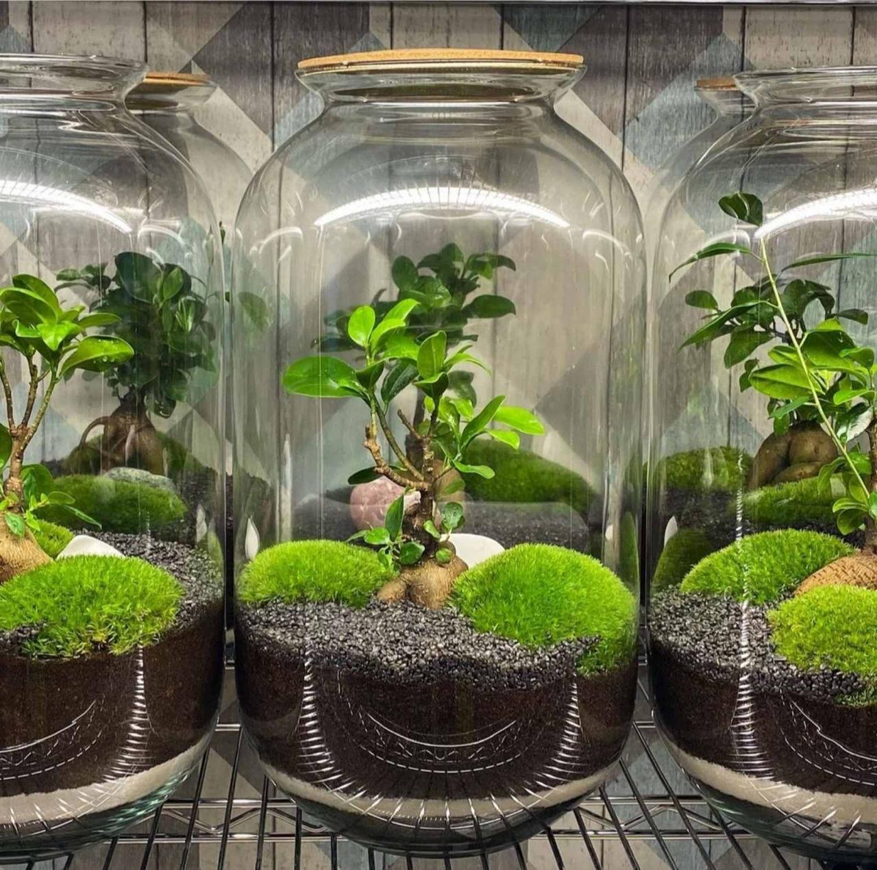 Ahşap Tabanlı Mini Bahçe Seti