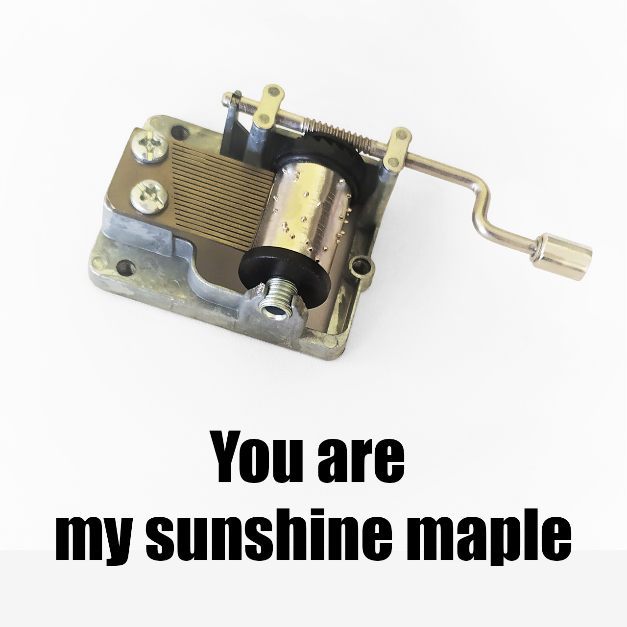 Музичний механізм - You are my sunshine maple