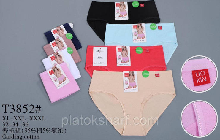 Труси батальні жіночі з для модниць «UO KIN» L-XXXL (3852), фото 2