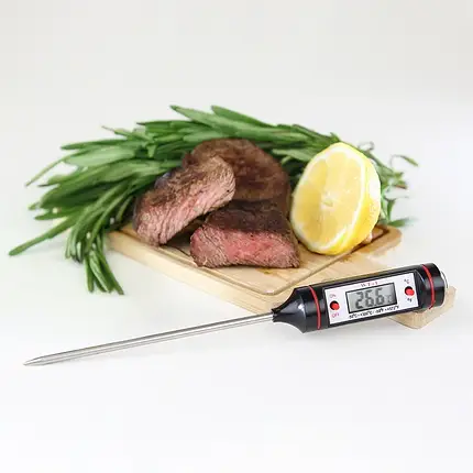 WT-1 Цифровий термометр, фото 2