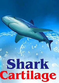 Акулячий хрящ Shark Cartilage