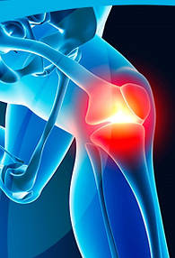 Інші добавки для суглобів та зв'язок