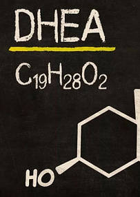 DHEA