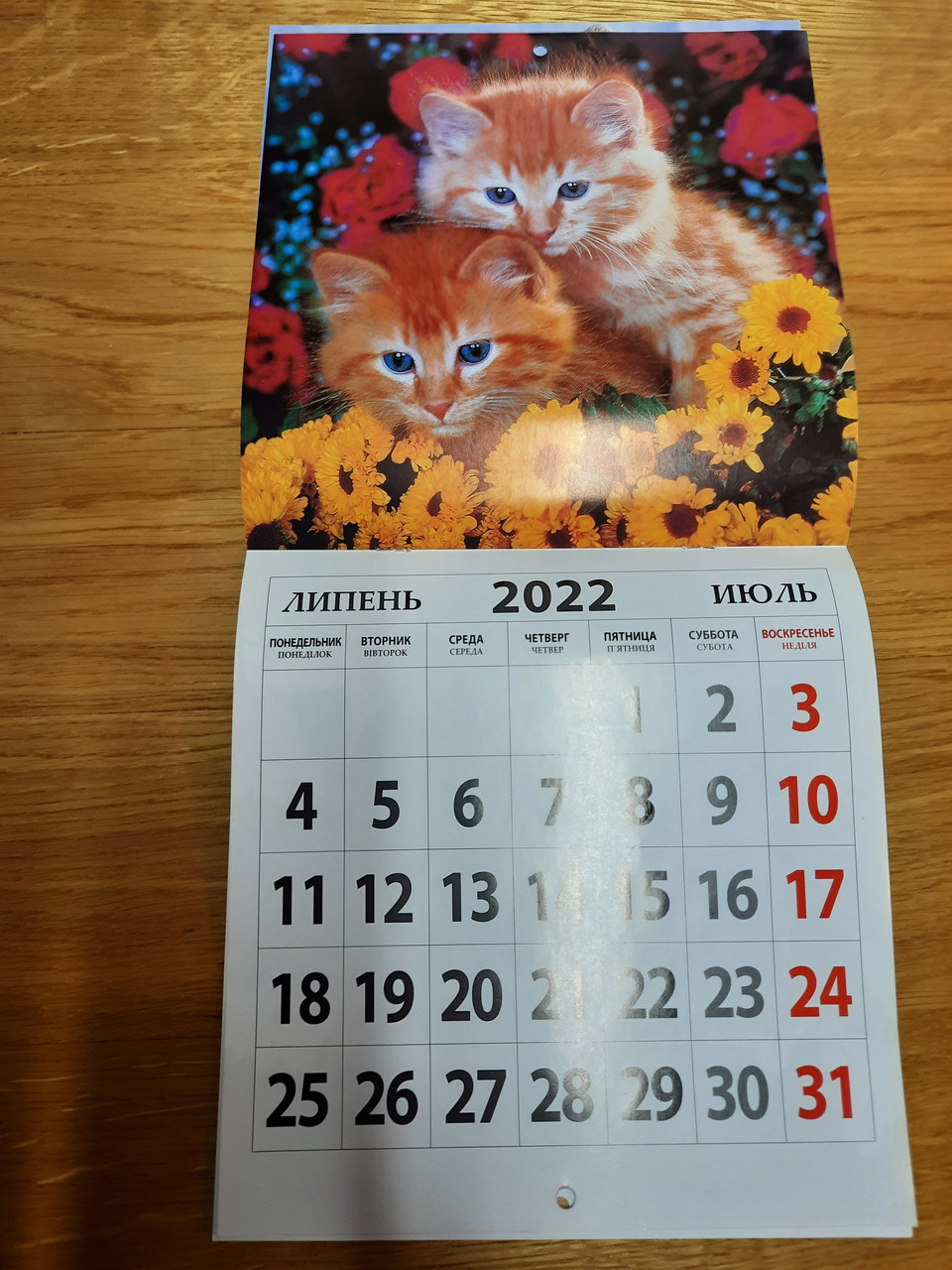 Настінний календар 2022 "Котики" (22 х 46 см) міні-квадрат на скобі перекидний календар 2022 рік Тигра