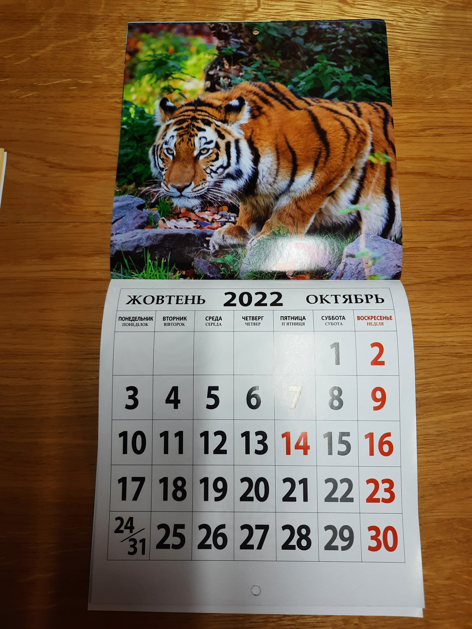 Настінний календар 2022 "Котики" (22 х 46 см) міні-квадрат на скобі перекидний календар 2022 рік Тигра