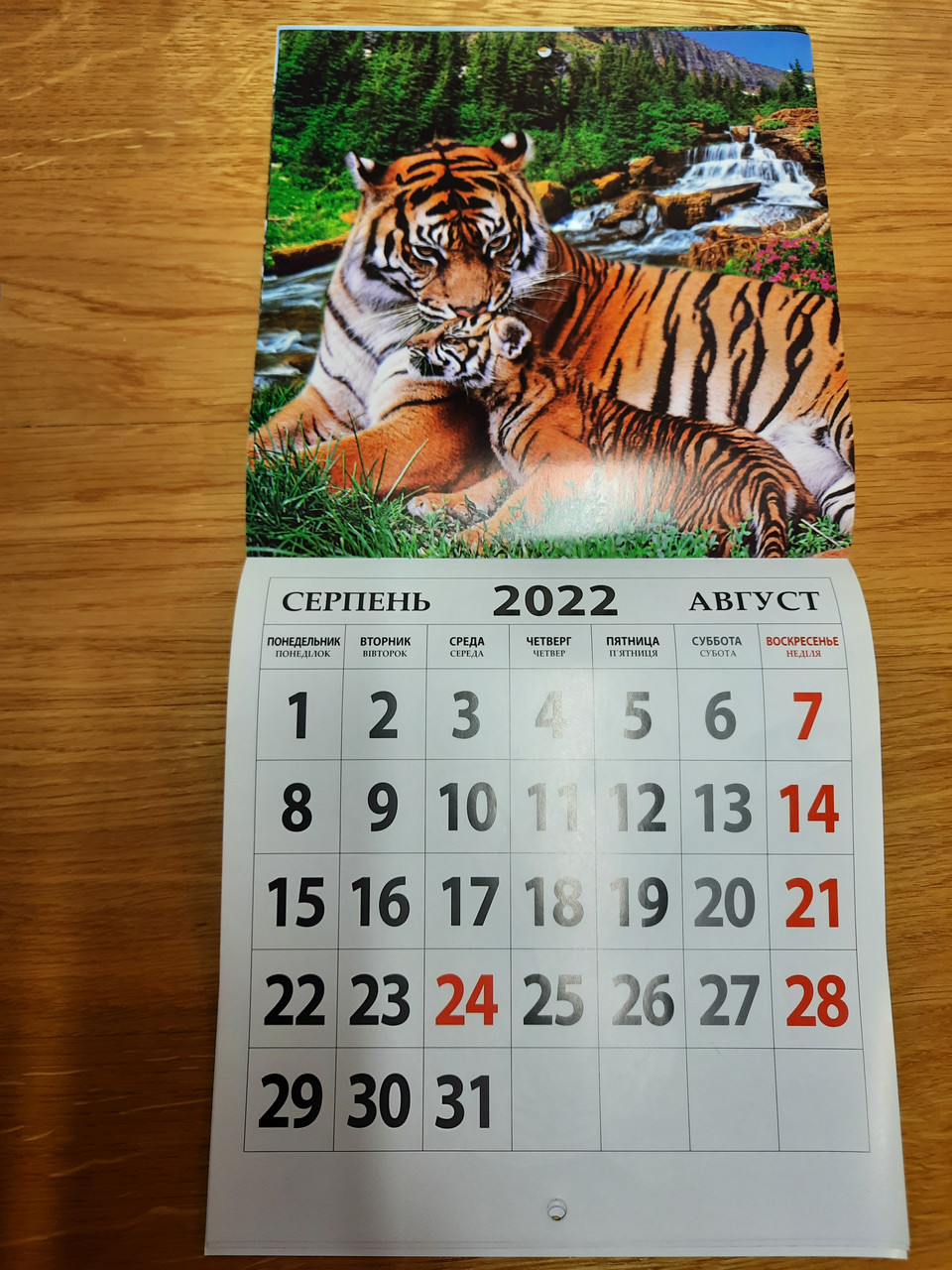 Настенный календарь 2022 "Котики"( 22 х 46 см ) мини-квадрат на скобе перекидной календарь 2022 год Тигра