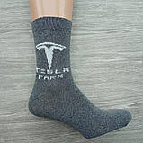 Шкарпетки чоловічі високі весна/осінь сірі нар. 41-44 BRAND SOCKS Тесла 30033475, фото 2