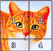 Набір для вишивання за нанесеною на канву схемою "Lovely cat". AIDA 14CT printed, 37*36 см, фото 4