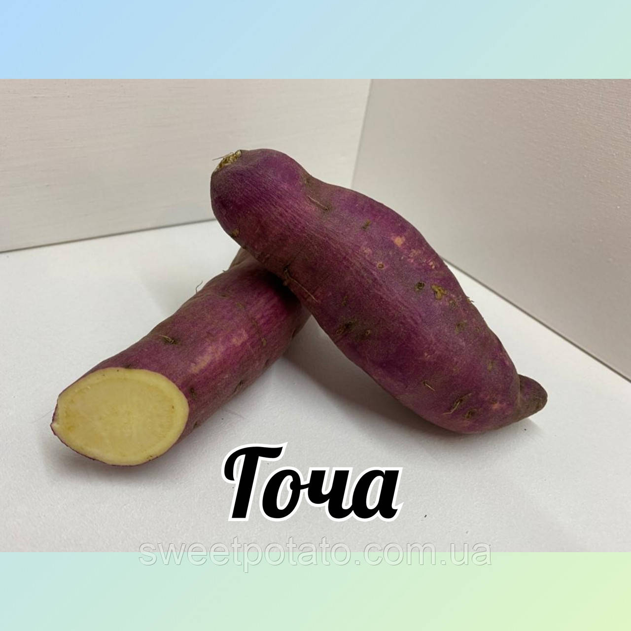 Сортовий батат, сорт Гоча з білою м'якоттю для розсади 🌿🍠🤍, 1 шт, фото 1