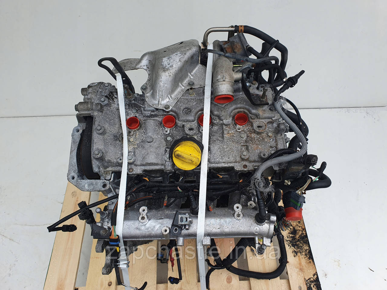 F4R765 Лагуна II