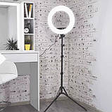Світлодіодна кільцева ЛЕД лампа 45 см зі штативом Селфі лампа поворотна Лампа для блогерів, фото 4