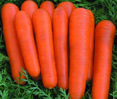 Морква солодка дитяча (насіння 3г)