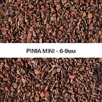 PINIA ( MINI) 6-9 mm / Пиния мини 1л (ручная фасовка)
