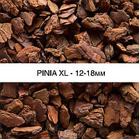 PINIA (XL) 12-18 mm / Пиния XL 1л ручная фасовка