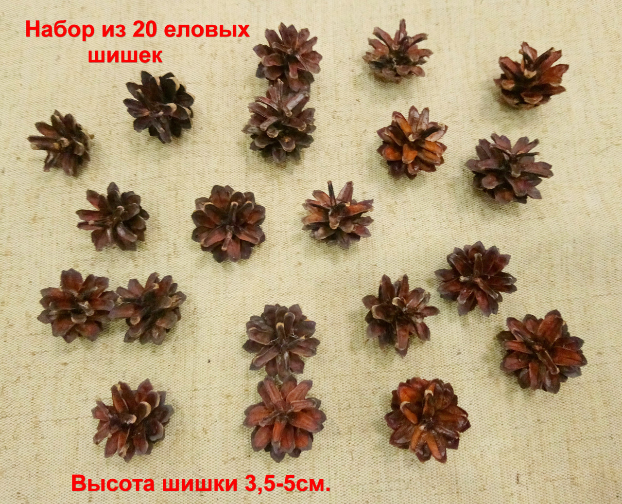 Натуральні ялинові шишки для дитячої творчості, набір 20 шт. (3,5-5 см)
