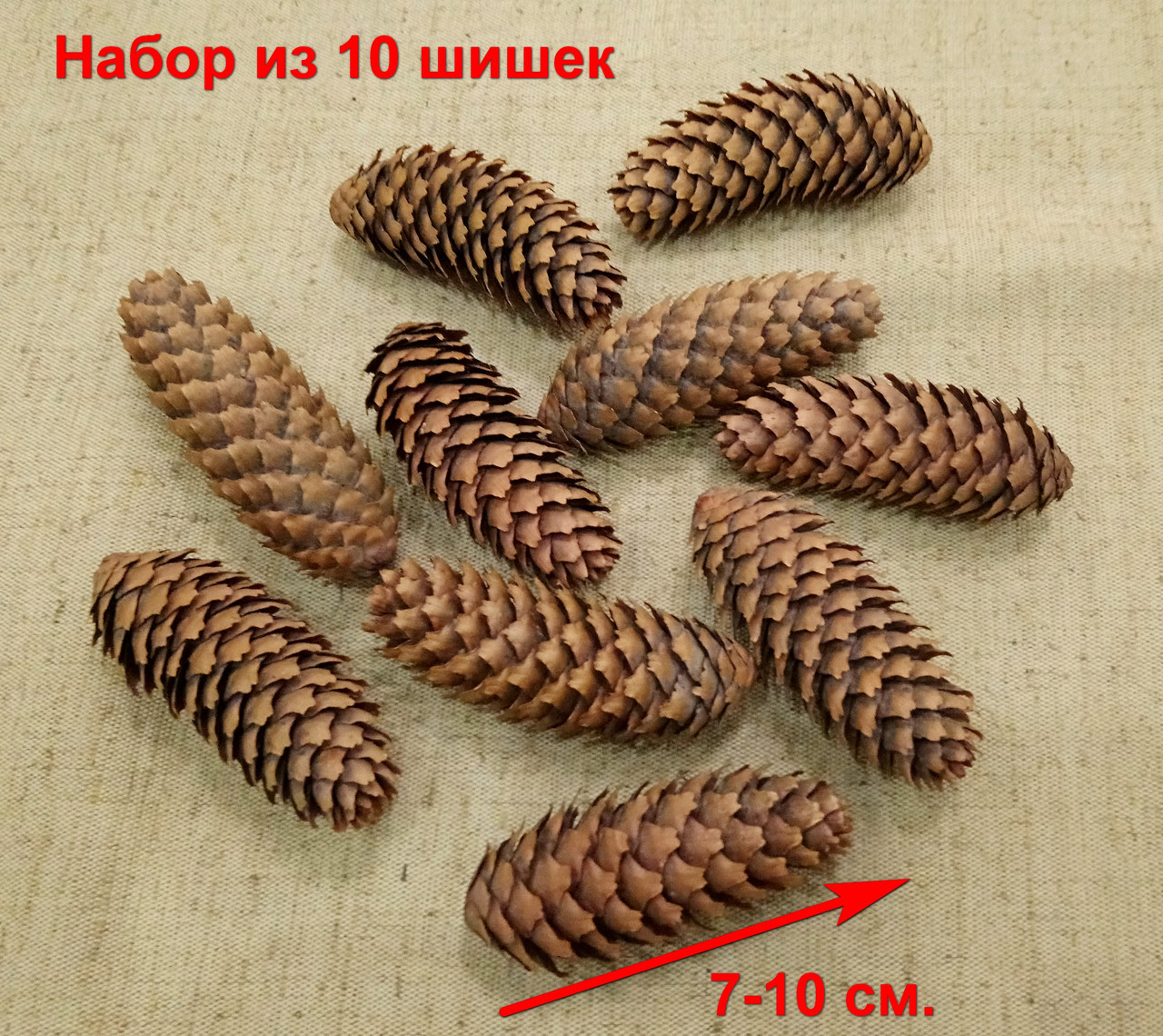 Шишки натуральні для різдвяного вінка, набір 10 шт. (7-10см.)
