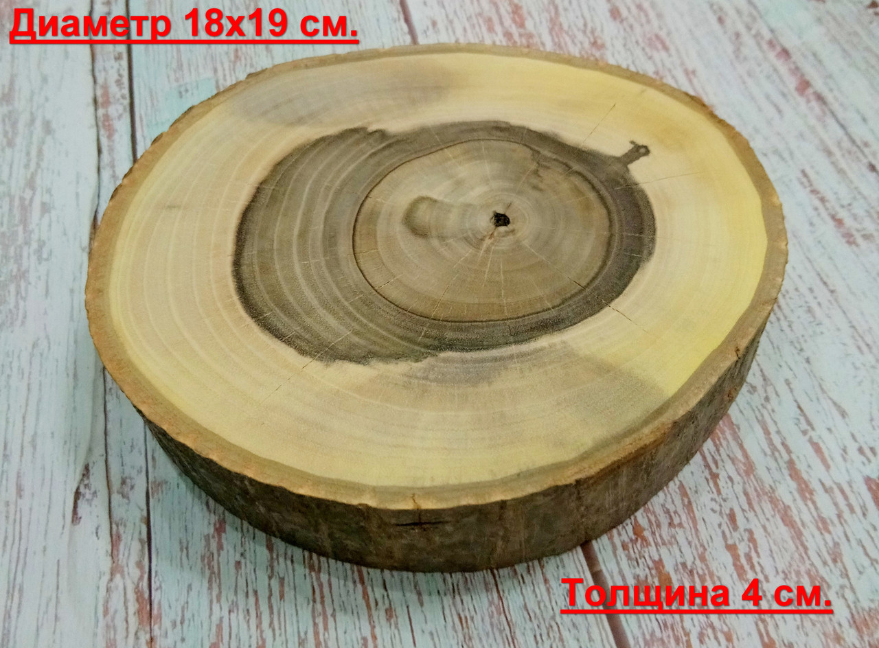 Зріз дерева шліфований для декорування (Горіх) d 18х19 см.
