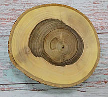 Зріз дерева шліфований для декорування (Горіх) d 18х19 см., фото 2